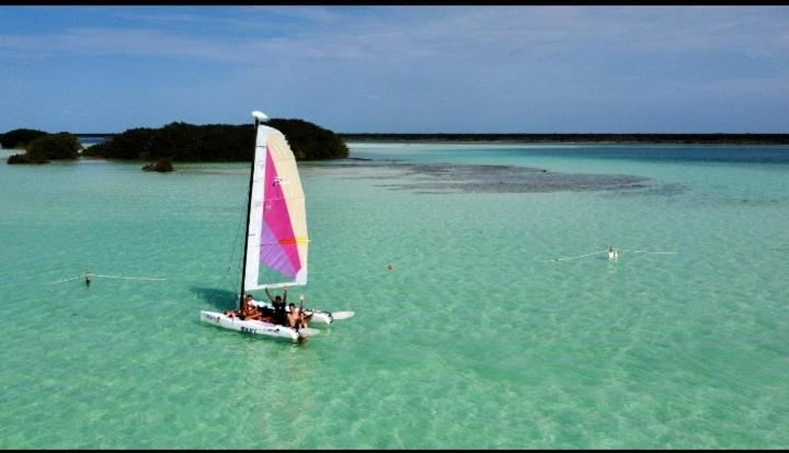 Veleando Ando Cabañas Bacalar Exterior foto